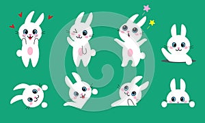 Cute white bunny character design