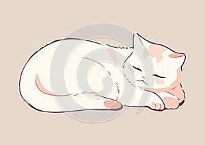 Cute white cat having a nap, snugly curled up isolated on a black background