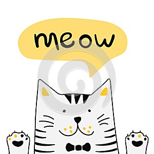 Cute white cat with lettering word Meow. Vector Illustration photo