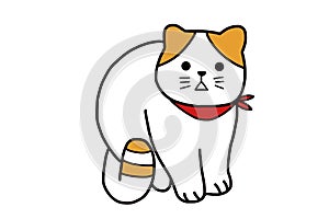 A cute white cat with red scart
