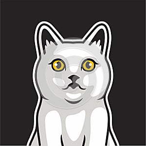 Cute White Cat Stares Vector Illustration - Vector