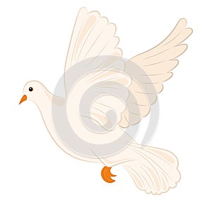 Cute white dove Peace symbol Vector