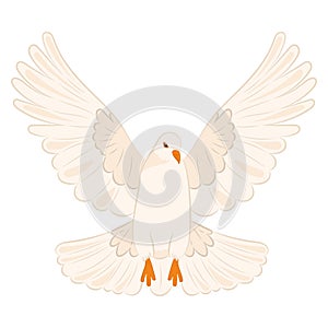 Cute white dove Peace symbol Vector