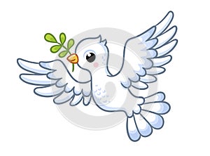 Cute white dove with a twig in its beak flies on a white background. Vector illustration with a bird