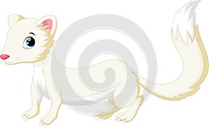 Cute white Least Weasel