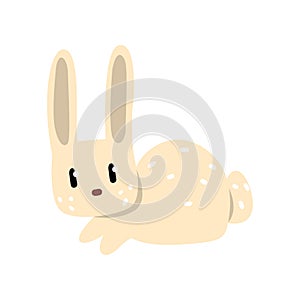 Cute white little rabbit cartoon character vector Illustration on a white background