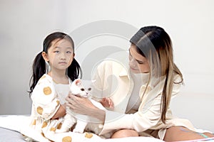 Cute white Persian cat comfortably sitting comfortably sitting in on owner lap hands, mother let her daughter touch gently family