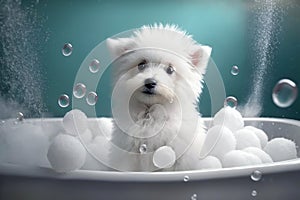 Cute white puppy in bathtub with soap foam and bubbles. Generative AI