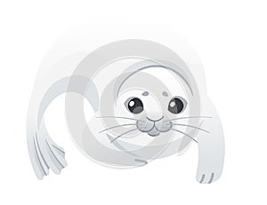 Cute white seal child mammal arctic animal cartoon animal design vector illustration isolated on white background