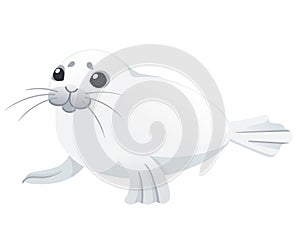 Cute white seal child mammal arctic animal cartoon animal design vector illustration isolated on white background