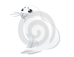 Cute white seal child mammal arctic animal cartoon animal design vector illustration isolated on white background