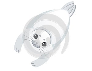 Cute white seal child mammal arctic animal cartoon animal design vector illustration isolated on white background