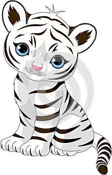 Cute white tiger cub
