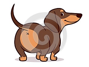 Cute wiener sausage dog  cartoon illustration isolated on white. Simple  drawing of friendly chocolate and tan dachshund