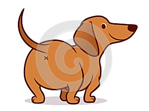 Cute wiener sausage dog  cartoon illustration isolated on white. Simple  drawing of friendly tan dachshund puppy, rear view