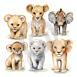 Cute wild animal cartoon style. Watercolor Drawing african baby wild animal on white background. Jungle safari animals and plants