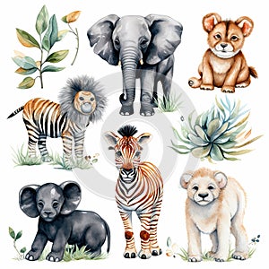 Cute wild animal cartoon style. Watercolor Drawing african baby wild animal on white background. Jungle safari animals and plants