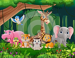 Cute wild animals cartoon in the jungle