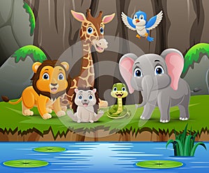 Cute wild animals cartoon in the jungle