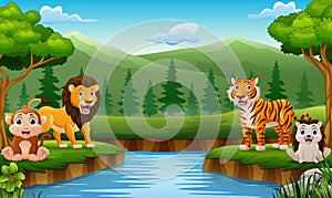 Cute wild animals cartoon in the jungle