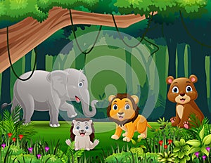 Cute wild animals cartoon in the jungle