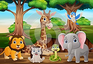 Cute wild animals cartoon in the jungle