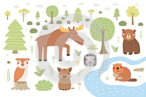 Cute wild animals forest scene, woodland landscape