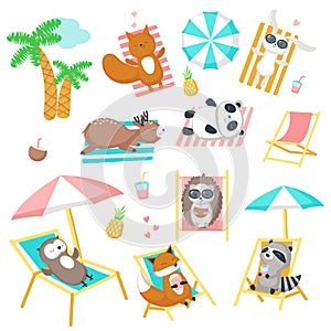 Cute animals taking rest on beach vector icon set