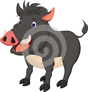 Cute wild boar cartoon