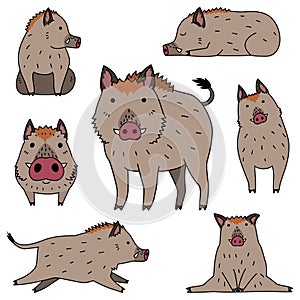 Cute wild boar doodle drawing set