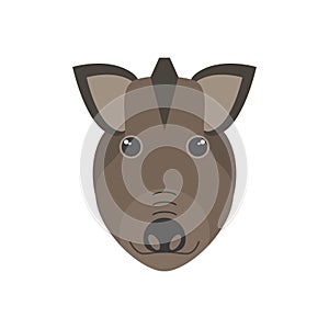 Cute wild boar face, head portrait of brown swine character photo