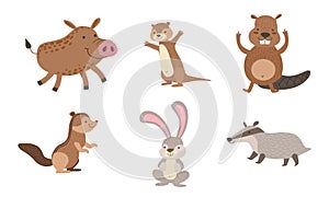 Cute Wild Forest Animals Set, Gopher, Wild boar, Beaver, Hare, Chipmunk, Badger Vector Illustration