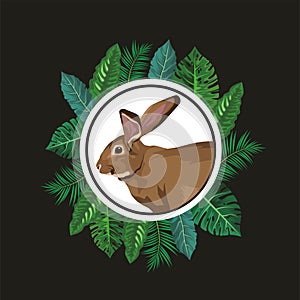 Cute wild rabbit in leafs frame
