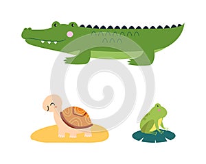 Cute wild safari African animals set. Crocodile, turtle and frog jungle animal cartoon vector illustration