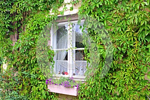 CUTE WINDOW OF A COUNTRYHOUSE