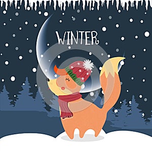 Cute winter fox in knitted hat and scarf at night