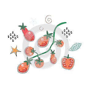 Cute Winter Icon with Tomatoes. Hand Drawn Scandinavian Style. Illustration