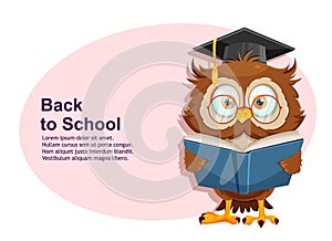 Cute wise owl. Funny owl, back to school concept