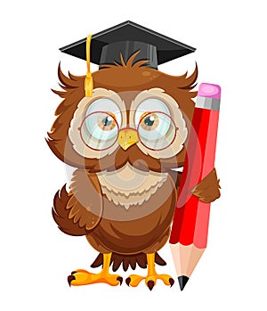 Cute wise owl. Funny owl, back to school concept