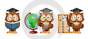 Cute wise owl. Funny owl, back to school concept