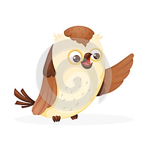 Cute wise owl, vector isolated cartoon bird illustration