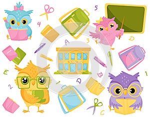 Cute wise owls and school supplies, school education and knowledge concept vector Illustration