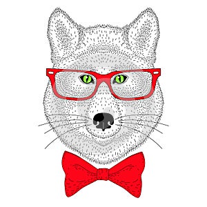 Cute wolf portrait, face with bow tie, glasses. Hand drawn anthropomorphic fashion animal illustration for t-shirt print, kids gr