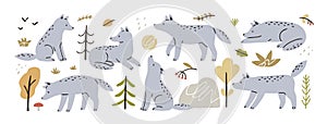 Cute wolves set. Funny gray animals in kids Scandinavian style. Baby coyotes, modern Scandi wild forest beast cub