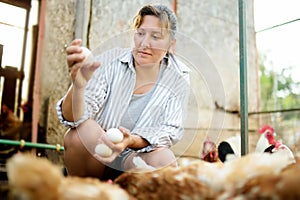 Cute woman farmer collecting fresh organic eggs on chicken farm. Floor cage free chickens is trend of modern poultry farming.