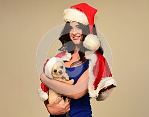 Cute woman with funny puppy dog with Christmas hat.