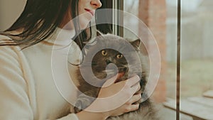 cute woman standing looking out the window holding fluffy gray cat in hands cropped face lps closeup, girl enjoy love