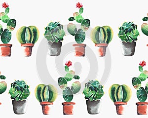 Cute wonderful mexican hawaii tropical green floral summer pattern of a colorful cacti in pots with flowers