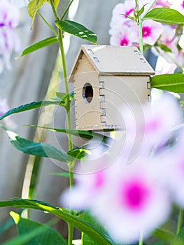 Cute wooden toy bird house in the blooming white pink phlox flowers against the green background