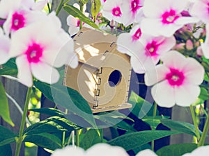 Cute wooden toy bird house in the blooming white pink phlox flowers against the green background